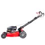 Газонокосилка бензиновая самоходная с двигателем FUBAG Honda FPL 56 SMH в Кирове фото