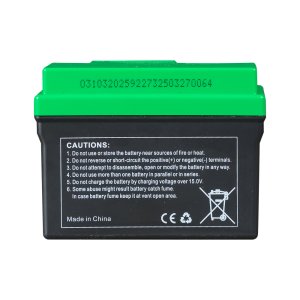 Аккумулятор FUBAG li-ion 3Ah для инверторного генератора TI 11000 A ES (арт. 646211) купить в Кирове